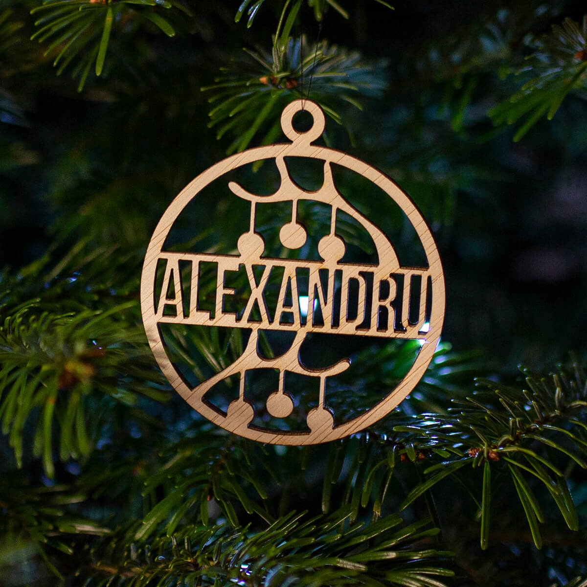 decoratiune – alexandru
